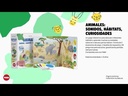 youtube - [Video]