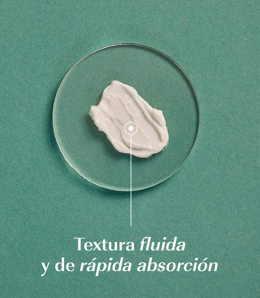 FOTOS_PRODUCTO_WEB-44.webp