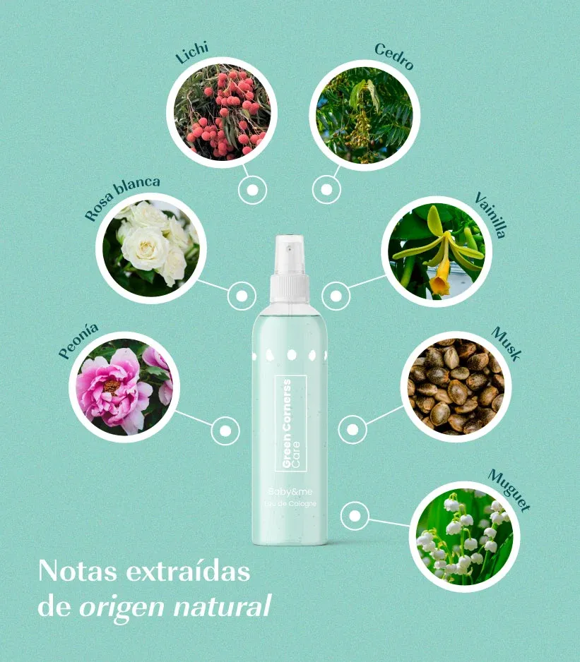 FOTOS-PRODUCTO-WEB-65.webp