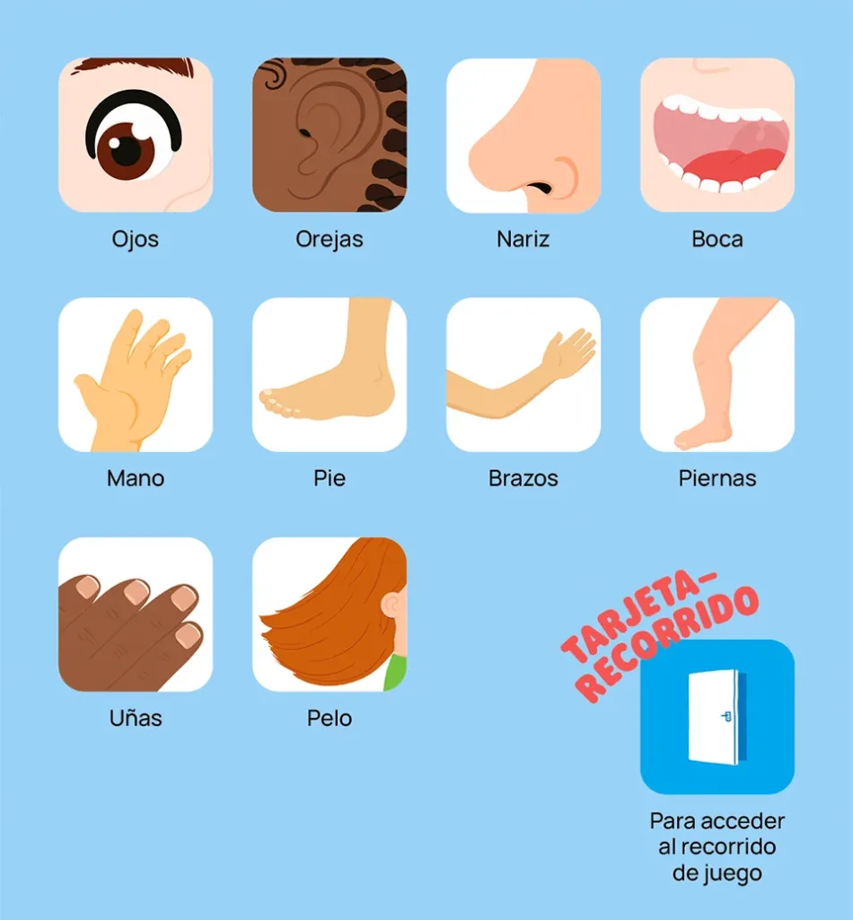 juegos-primeros-descubrimientos-el-cuerpo-cartas-myfaba__20204.webp