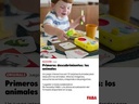 youtube - [Video]