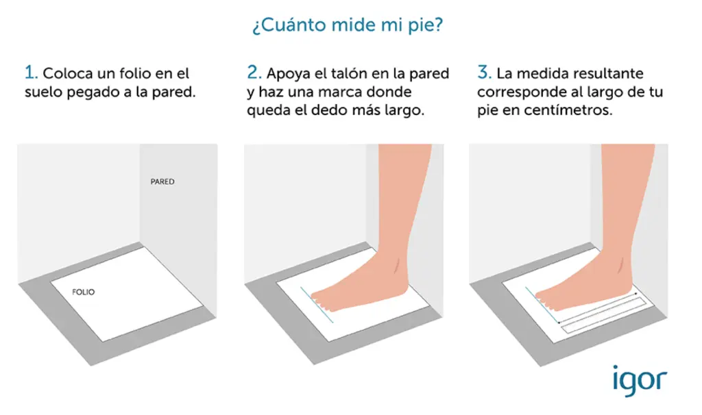 Captura de pantalla 2025-11-04 171837.webp