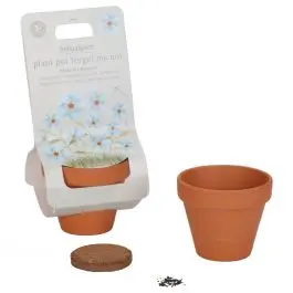 MACETA PLANTA