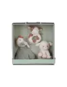 CAJA REGALO LITTLE DUTCH