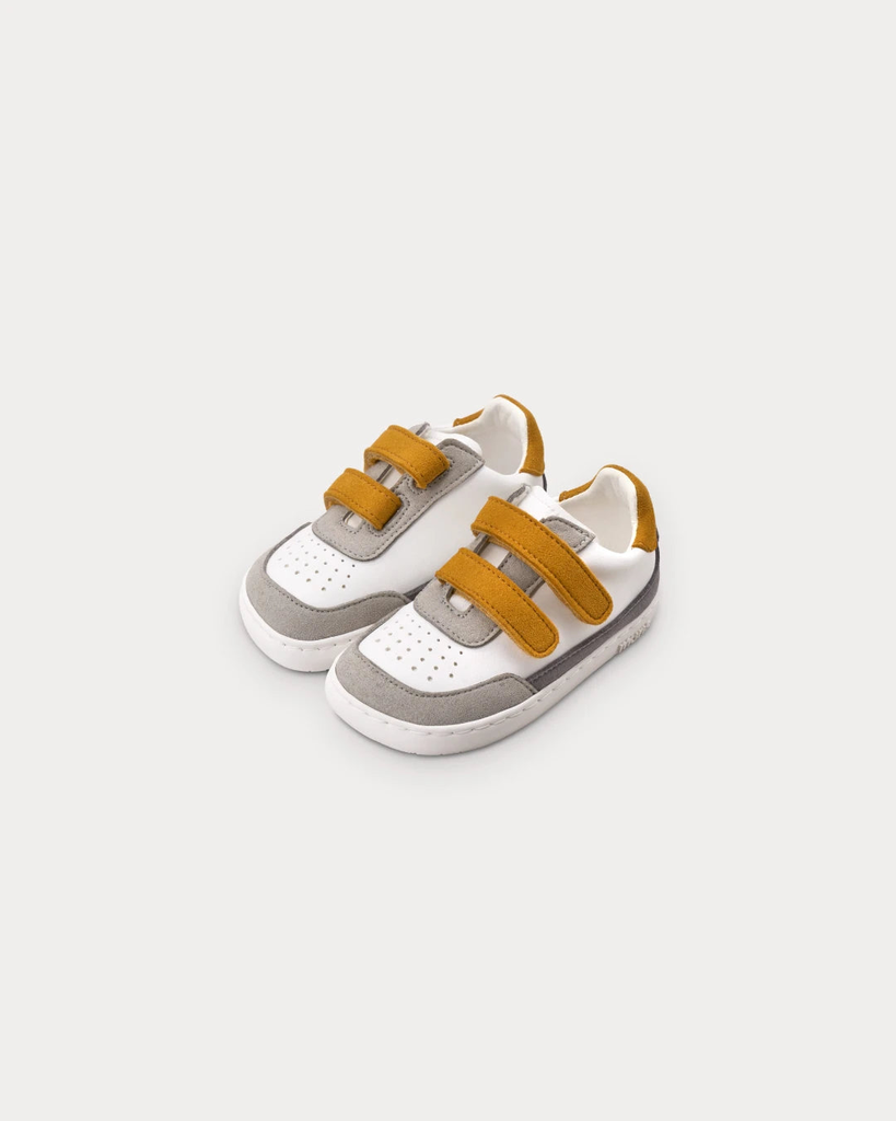 PETRA MINI MURIS BRAND