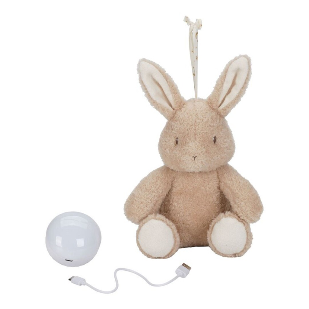 LUZ COMPAÑIA MUSICAL LITTLE DUTCH