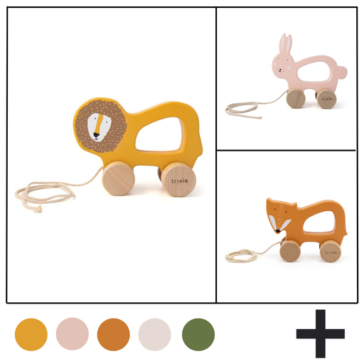 PULL ALONG TOY TRIXIE